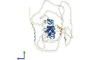 Protein Structure (PS) image for Mex-3 Homolog C (C. Elegans) (MEX3C) (AA 1-652) protein (His tag) (ABIN7556899)