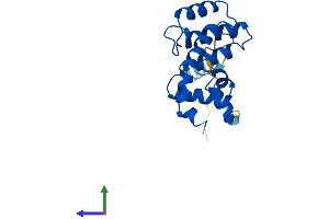 AlphaFold protein structure predicition of Mouse Recombinant Rgs5 Protein, UniprotID O08850