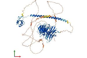 Protein Structure (PS) image for Ring Finger and WD Repeat Domain 3 (RFWD3) (AA 1-774) protein (His tag) (ABIN7564595)