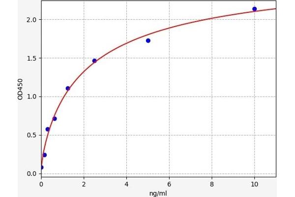 SLC45A1 ELISA 试剂盒