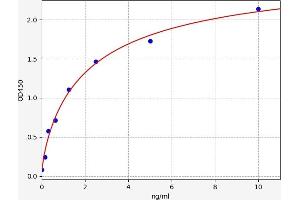 Typical standard curve (SLC45A1 ELISA 试剂盒)