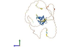 AlphaFold protein structure predicition of Human Recombinant RUNX3 Protein, UniprotID Q13761 (RUNX3 Protein (AA 1-415) (His tag))