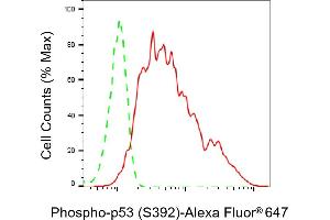 Flow cytometric analysis of Phospho-p53 (S392) expression in HeLa cells using Phospho-p53 (S392) antibody (ABIN7800681), 1:2,000).