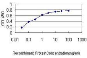 Detection limit for recombinant GST tagged BRRN1 is approximately 0. (NCAPH 抗体  (AA 645-741))