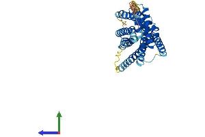 AlphaFold protein structure predicition of Human Recombinant P2RY12 Protein, UniprotID Q9H244