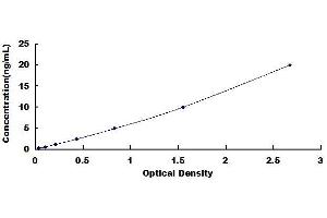 Typical standard curve (CRTC3 ELISA 试剂盒)