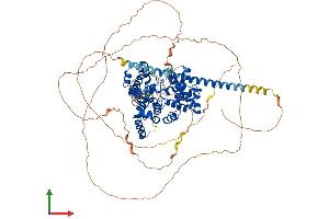 Protein Structure (PS) image for TBC1 Domain Family, Member 10B (TBC1D10B) (AA 1-798) protein (His tag) (ABIN7558647)
