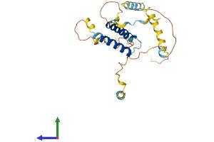 Protein Structure (PS) image for Cell Division Cycle Associated 4 (CDCA4) (AA 1-237) protein (His tag) (ABIN7560671)