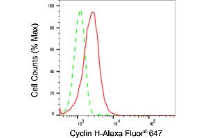 Flow cytometric analysis of Cyclin H expression in HepG2 cells using Cyclin H antibody (ABIN7798202), 1:2,000). (Recombinant Cyclin H 抗体)