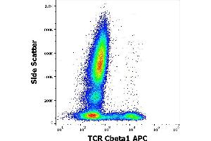 Flow cytometry surface staining pattern of human peripheral whole blood stained using anti-human TCR Cbeta1 (JOVI. (TCR, Cbeta1 抗体 (APC))