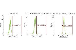 Flow Cytometry (FACS) image for anti-N-Ethylmaleimide-Sensitive Factor Attachment Protein, alpha (NAPA) (AA 1-295) antibody (APC) (ABIN5568292) (NAPA 抗体  (AA 1-295) (APC))