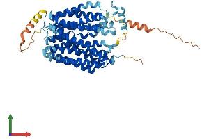 Protein Structure (PS) image for Solute Carrier Family 17 (Anion/Sugar Transporter), Member 4 (SLC17A4) (AA 1-497) protein (His tag) (ABIN7555343)