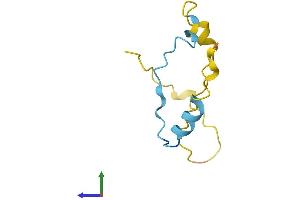 Protein Structure (PS) image for Calcium/calmodulin-Dependent Protein Kinase II Inhibitor 1 (CAMK2N1) (AA 1-78) protein (Fc Tag) (ABIN7546584)