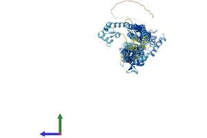 Protein Structure (PS) image for Actinin, alpha 3 (ACTN3) (AA 1-901) protein (His tag) (ABIN7551880)