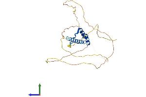Protein Structure (PS) image for Cone-Rod Homeobox (CRX) (AA 1-299) protein (His tag) (ABIN7562406)