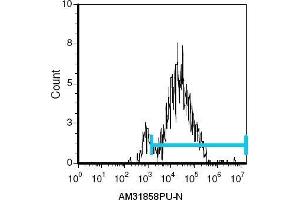Flow Cytometry (FACS) image for anti-Lymphocyte Antigen 76 (Ly76) antibody (ABIN955150) (Ly76 抗体)