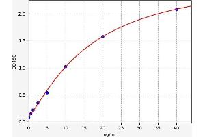 Typical standard curve
