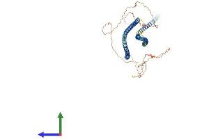 AlphaFold protein structure predicition of Mouse Recombinant Krt77 Protein, UniprotID Q6IFZ6