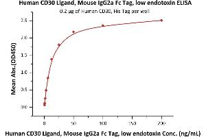 ELISA image for Tumor Necrosis Factor (Ligand) Superfamily, Member 8 (TNFSF8) (AA 63-234) (Active) protein (Fc Tag) (ABIN6253579)