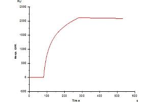 Image no. 1 for anti-Fc Fragment of IgE Receptor Ia (FCER1A) antibody (ABIN1558257) (Fc epsilon RI/FCER1A 抗体)
