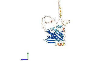 Protein Structure (PS) image for BCL2/adenovirus E1B 19kD Interacting Protein Like (BNIPL) (AA 1-357) protein (His tag) (ABIN7552676)