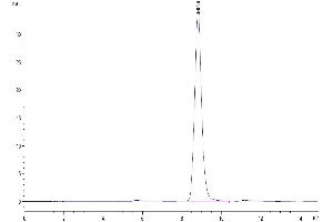 Size-exclusion chromatography-High Pressure Liquid Chromatography (SEC-HPLC) image for Epiregulin (EREG) (AA 56-101) protein (Fc Tag) (ABIN7274569)
