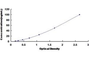 Typical standard curve (ADH1 ELISA 试剂盒)