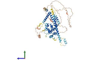 Protein Structure (PS) image for Coiled-Coil Domain Containing 60 (CCDC60) (AA 1-550) protein (His tag) (ABIN7553045)
