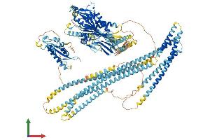 Protein Structure (PS) image for Kinesin Family Member 16B (KIF16B) (AA 1-1317) protein (His tag) (ABIN7554374)
