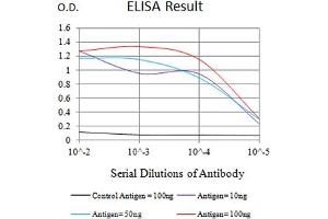 Black line: Control Antigen (100 ng),Purple line: Antigen (10 ng), Blue line: Antigen (50 ng), Red line:Antigen (100 ng) (ATG4A 抗体  (AA 258-398))