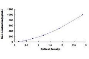 ELISA image for Hepatocyte Growth Factor (Hepapoietin A, Scatter Factor) (HGF) ELISA Kit (ABIN431329)