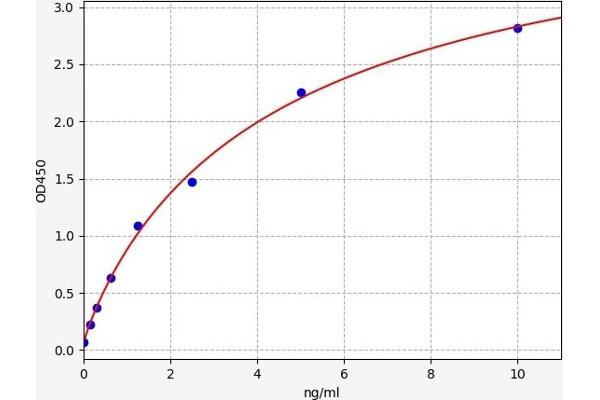 ERCC1 ELISA 试剂盒