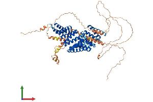 Protein Structure (PS) image for G-Protein Signaling Modulator 2 (GPSM2) (AA 1-679) protein (His tag) (ABIN7564750)