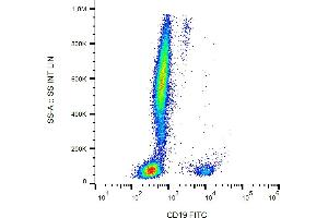 Flow cytometry analysis (surface staining) of human peripheral blood cells with anti-human CD19 (LT19) FITC. (CD19 抗体  (FITC))
