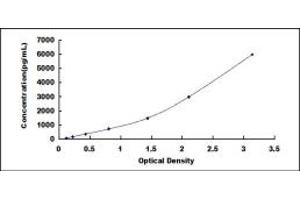 Typical standard curve (PIINP ELISA 试剂盒)