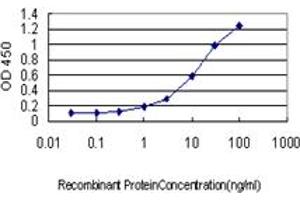 Detection limit for recombinant GST tagged CSE1L is approximately 0. (Exportin 2 抗体  (AA 872-971))
