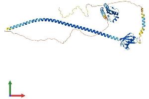 Protein Structure (PS) image for UBX Domain Protein 4 (UBXN4) (AA 1-508) protein (His tag) (ABIN7544866)