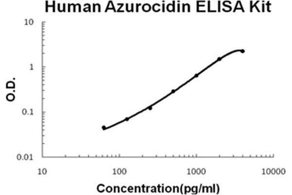 Azurocidin ELISA 试剂盒
