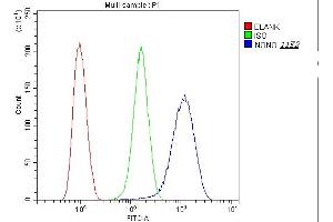 Flow Cytometry analysis of U20S cells using anti-nmt55 p54nrb antibody (ABIN6719600). (NONO 抗体  (N-Term))