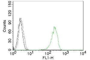 Flow Cytometry (FACS) image for anti-Transferrin Receptor (p90, CD71) (TFRC) antibody (ABIN6940695)