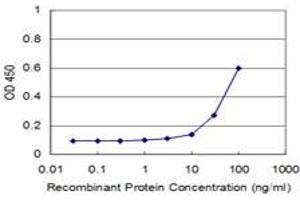 Detection limit for recombinant GST tagged FOXF2 is approximately 3ng/ml as a capture antibody. (FOXF2 抗体  (AA 207-340))