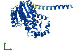 AlphaFold protein structure predicition of Human Recombinant HSD17B3 Protein, UniprotID P37058