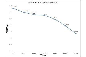 Antigen: 0. (Protein A 抗体)