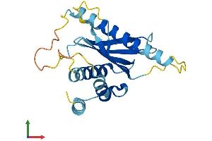 Protein Structure (PS) image for Adaptor-Related Protein Complex 5, sigma 1 Subunit (AP5S1) (AA 1-200) protein (His tag) (ABIN7552224)