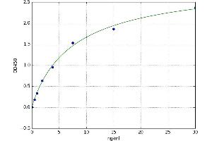 A typical standard curve (BNIP3L/NIX ELISA 试剂盒)