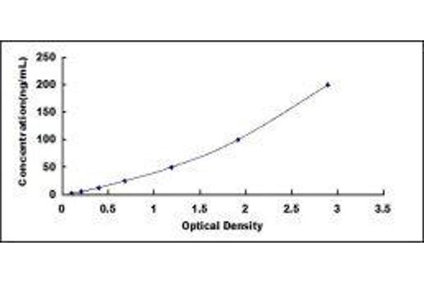 Arginine ELISA 试剂盒