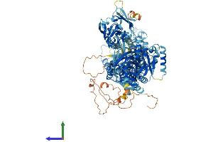 Protein Structure (PS) image for ATPase, Class VI, Type 11B (ATP11B) (AA 1-1177) protein (His tag) (ABIN7552478)