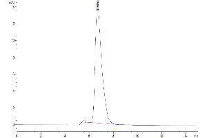 The purity of Mouse IL-15RA is greater than 95 % as determined by SEC-HPLC.