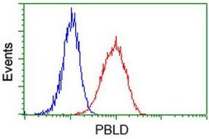 Flow cytometric Analysis of Hela cells, using anti-PBLD antibody (ABIN2453424), (Red), compared to a nonspecific negative control antibody (TA50011), (Blue). (PBLD1 抗体)