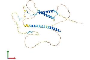 Protein Structure (PS) image for Mitochondrial Fission Factor (MFF) (AA 1-342) protein (His tag) (ABIN7549337)